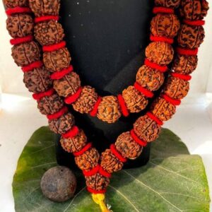 18 Mukhi / 18 Mukhi Nepali Wood Pendant