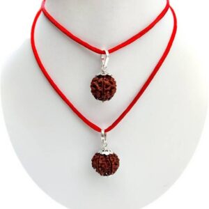 5 Mukhi Rudraksha Original Nepali 16-20mm Lab Certified