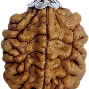 Rudraksha Beads Gold-plated Bracelet