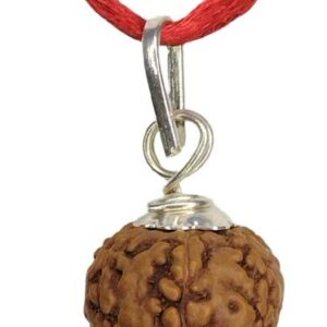 ORIGINAL(NEPALI) 5 MUKHI RUDRAKSHA Wood Pendant