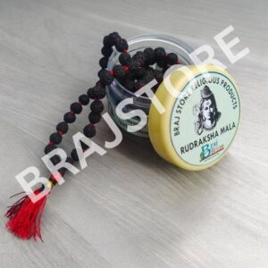 7 Mukhi Rudraksha With Capped with Silver Capping