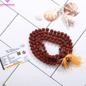 Rudraksha Mala Lab Tested with Certificate