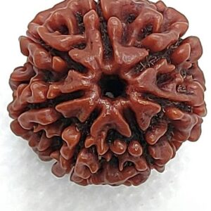 Wood Brown 5 Mukhi Rudraksha Jaap Mala for all Mantra"s