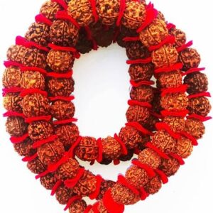 5 Mukhi Rudraaksh Nepali Origin 20mm Plus size Wood Pen