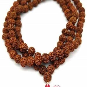 Original 7 Mukhi Rudraksha Seven Face Rudraksha Metal