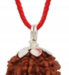 15 mukhi rudraksha pendent nepali 100% pure Wood