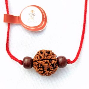 Nepali 4 Mukhi / Chatur Mukhi Rudraksha