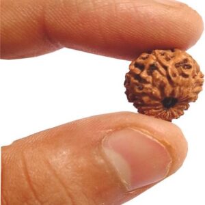 Karungali Malai | Original 54 Beads Ebony wood Rudraksh