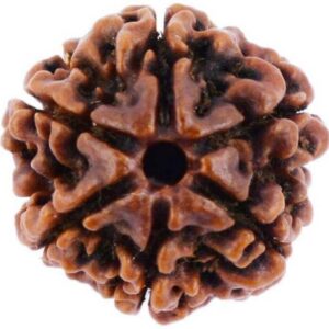 Mahakal Locket with Rudraksha Mala & Trishul Damru