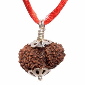 5 Mukhi Nepali 16–20mm Lab Certified Pendant