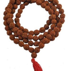 Rudraksha Mala Lab Tested with Certificate