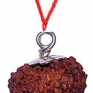 100% Natural & Original 108 + 1 Medium Size Beads 5