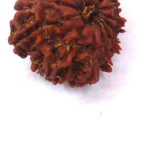 5 Mukhi Wood Pendant