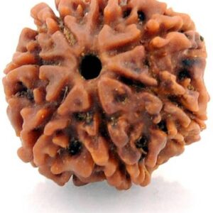 5 Mukhi Lab Certified Wood Pendant