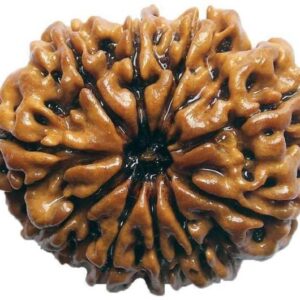 Natural Nepali 9 Mukhi Rudraksha Meditation Wood Locket