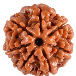 5 Mukhi / 5 Face Certified Locket