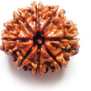 Gold Plated Eternal Grace Rudraksha Mala