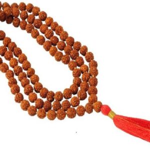 Original Panchmukhi Rudraksh for locket mens,womesn,uni