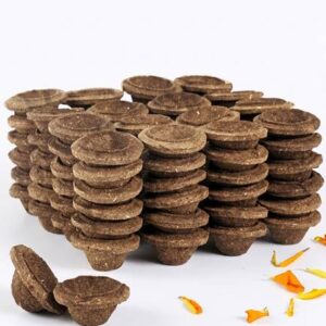 Gaukosh Natural Gobar Diya