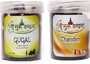 SGV Guggal & Chandan Dhoop Box Combo