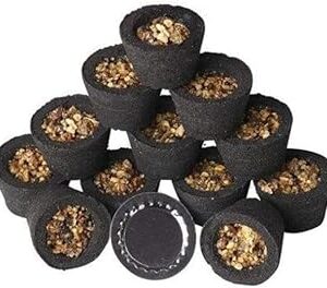 Sambrani Dhoop Cups with Burner (Pack of 2)