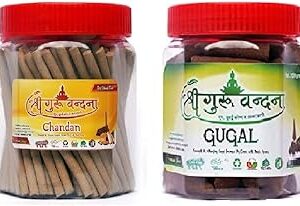 SGV Chandan Sticks & Guggal Cones Combo