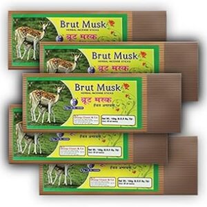 Dhoop Chaon Brut Musk Sticks (Pack of 5)