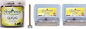 SGV Guggul Box & Chandan Agarbatti Double Combo
