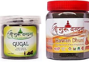 SGV Guggal Box & Hawan Dhuni (200g)