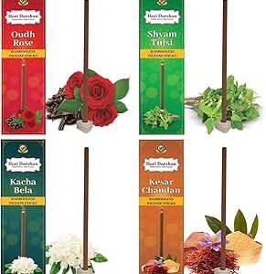 Hari Darshan Assorted Bambooless Sticks (Pack of 4)