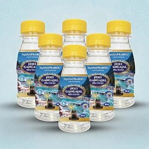 Gangajal (100ml x6)
