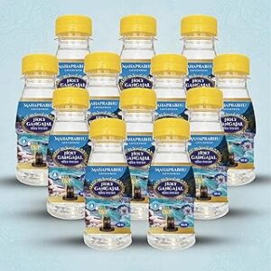 Gangajal (100ml x12)