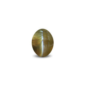 Cat's Eye Chrysoberyl - 2.63 Carat