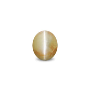 Cat's Eye Chrysoberyl - 4.04 Carat