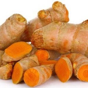 FELCHARIES Turmeric Plant