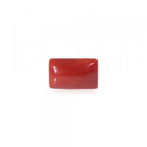 Red Coral - 16.26 Carat