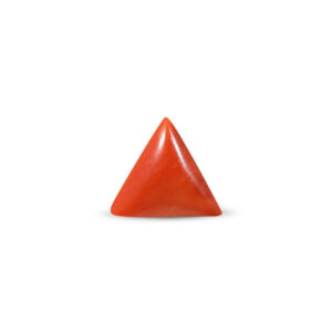 Red Coral - 24.97 Carat