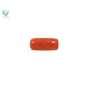 Red Coral - 10.51 Carat
