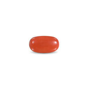 Red Coral - 10.58 Carat