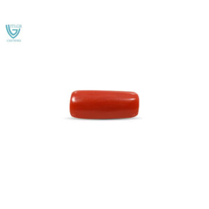 Red Coral - 10.72 Carat