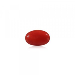 Red Coral - 10.72 Carat