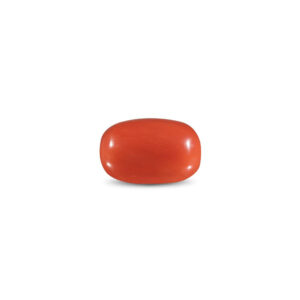 Red Coral - 10.73 Carat