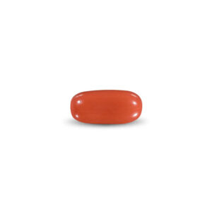 Red Coral - 10.77 Carat