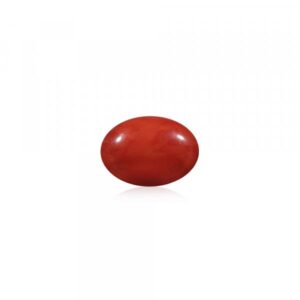 Red Coral - 11.29 Carat