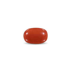 Red Coral - 11.31 Carat