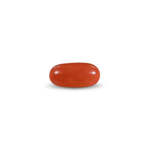 Red Coral - 11.32 Carat