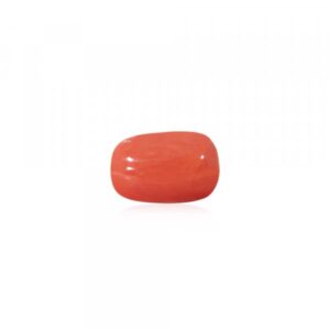 Red Coral - 11.67 Carat