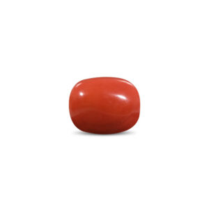 Red Coral - 11.83 Carat
