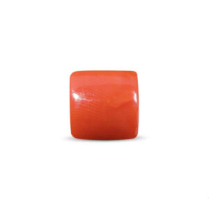 Red Coral - 12.60 Carat