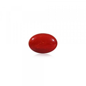Red Coral - 13.42 Carat